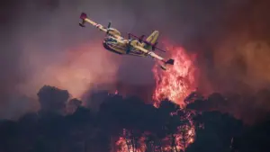 This Year’s European Wildfires Are Three Times Worse Than Average