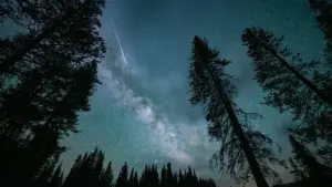 See A Solar Eclipse, The Perseids And A 96% ‘Blood Moon:’ August’s Sky